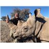 Image 1 : 7-Day South Africa Exportable Rhino Bull Hunt For 1 Hunter & 1 Non-Hunter