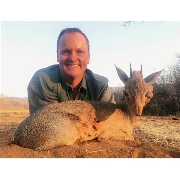8-Day Namibia Damara Dik-Dik & Gemsbuck Hunt for 1 Hunter