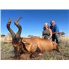 Image 5 : 7-Day South Africa $1,500 Plains Game Credit Per Hunter Up To 8 People Minimum 2 Hunters