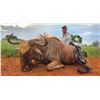 Image 7 : 7-Day South Africa $1,500 Plains Game Credit Per Hunter Up To 8 People Minimum 2 Hunters