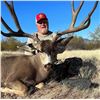 Image 2 : 6-Day Mexico Mule Deer Hunt for 2 Hunters