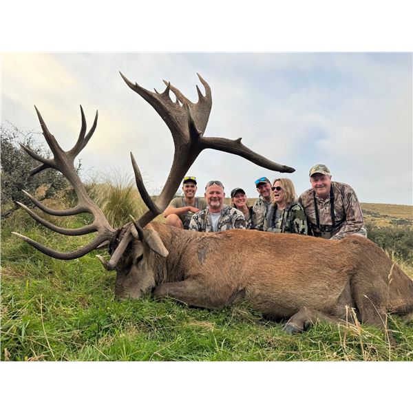 5-Day New Zealand Red Stag Credit Hunt for 2 Hunters & 2 Non-Hunters