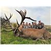 Image 1 : 5-Day New Zealand Red Stag Credit Hunt for 2 Hunters & 2 Non-Hunters