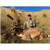 Image 4 : 5-Day New Zealand Red Stag Credit Hunt for 2 Hunters & 2 Non-Hunters