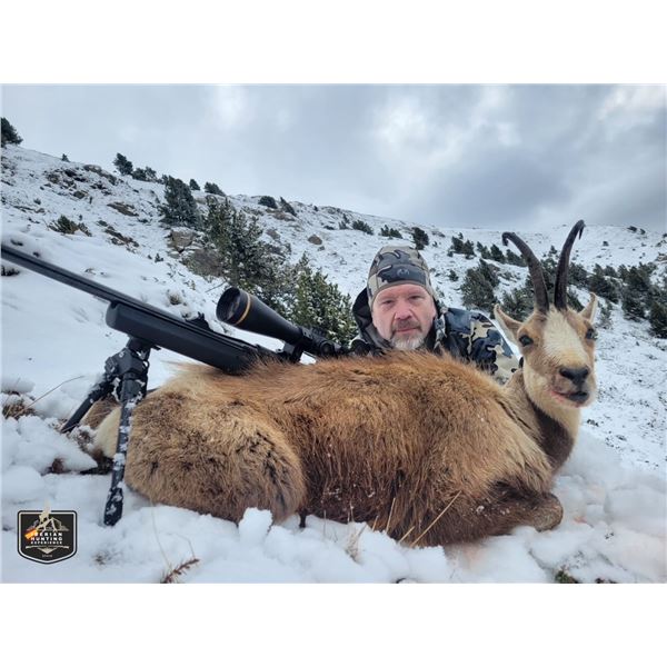 4-Day Spain Choice of Roe Deer, Chamois, Fallow for 2 Hunters & 2 Non-Hunters