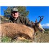 Image 9 : 4-Day Spain Choice of Roe Deer, Chamois, Fallow for 2 Hunters & 2 Non-Hunters