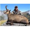 Image 1 : 5-Day New Zealand Chamois Hunt for 1 Hunter & 1 Non-Hunter
