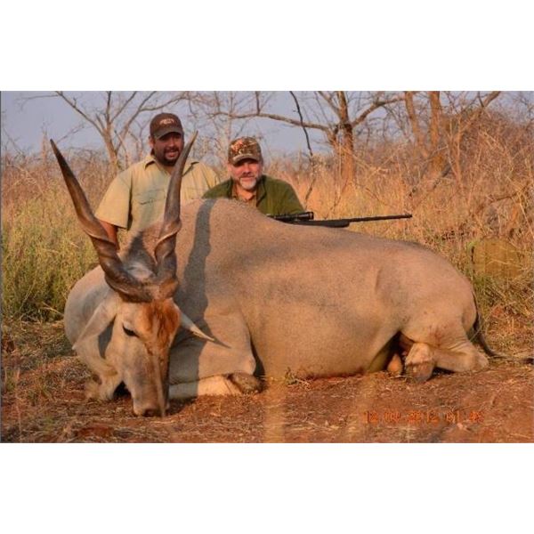 10-Day Namibia Eland, Impala, Warthog Hunt for 2 Hunters & 2 Non-Hunters