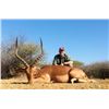 Image 3 : 10-Day Namibia Eland, Impala, Warthog Hunt for 2 Hunters & 2 Non-Hunters