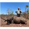 Image 3 : 5-Day Australia Trophy Buffalo & Cull Buffalo Cow Hunt for 1 Hunter & 1 Non-Hunter