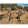 Image 7 : 5-Day Australia Trophy Buffalo & Cull Buffalo Cow Hunt for 1 Hunter & 1 Non-Hunter