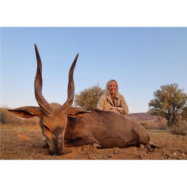 7-Day South Africa Bushbuck Hunt for 2 Hunters