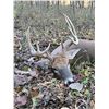 Image 1 : 5-Day Iowa Firearm Whitetail Deer Hunt for 2 Hunters