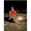 Image 2 : 5-Day Iowa Firearm Whitetail Deer Hunt for 2 Hunters