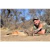 Image 2 : 7-Day South Africa Mixed-Bag Night Hunt for 1 or 2 Hunters & 1 or 2 Non-Hunters