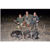 Image 4 : 7-Day South Africa Mixed-Bag Night Hunt for 1 or 2 Hunters & 1 or 2 Non-Hunters