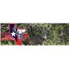 Image 10 : 3-Day Texas Trophy Whitetail & Exotic Credit Hunt for 2 Hunters