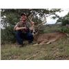 Image 1 : 3-Day Texas Trophy Whitetail & Exotic Credit Hunt for 2 Hunters