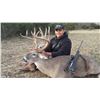 Image 2 : 3-Day Texas Trophy Whitetail & Exotic Credit Hunt for 2 Hunters