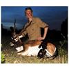 Image 3 : 3-Day Texas Trophy Whitetail & Exotic Credit Hunt for 2 Hunters