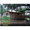 Image 6 : 3-Day Texas Trophy Whitetail & Exotic Credit Hunt for 2 Hunters