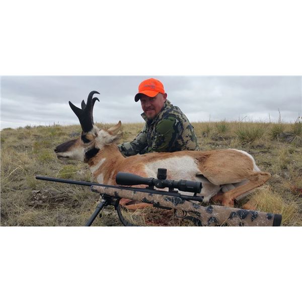 3-Day Wyoming Pronghorn Antelope Hunt for 1 Hunter