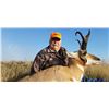 Image 2 : 3-Day Wyoming Pronghorn Antelope Hunt for 1 Hunter