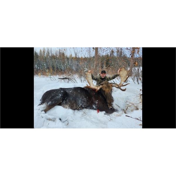 Shiras Moose Hunt with Canada West Outfitters