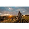 Image 1 : Great 3 Day Saskatchewan Waterfowl Hunt    No Fly Zone