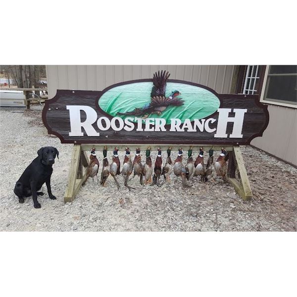 Michigan Pheasant Hunt for Two Adults and Two Youth Hunters   Rooster Ranch