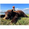 Image 1 : 6 Day Bear Hunt with Buck Country Outfitters