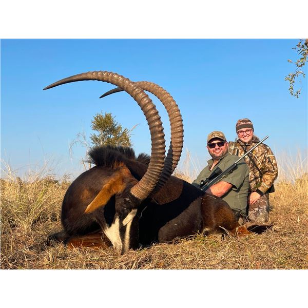 7 Day South African Sable Antelope Hunt for One   Matewetwe Safaris