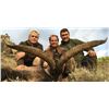Image 1 : Spanish Red Deer & Ibex Hunt   Prohunt Safaris