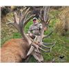 Image 2 : New Zealand Ultimate Grand Slam Hunt for Everything  Cardrona Outfitters