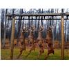 Image 1 : Michigan Trophy Whitetail Hunt  Lost Arrow Ranch