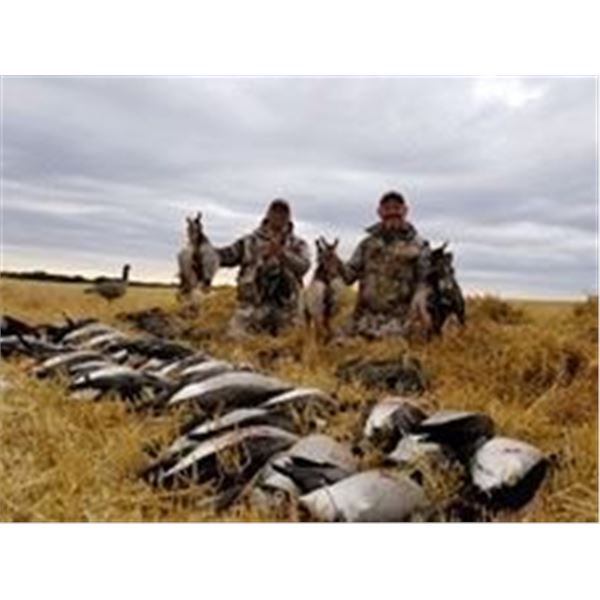 Ontario Waterfowl Hunt  Fishduck