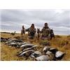 Image 1 : Ontario Waterfowl Hunt  Fishduck