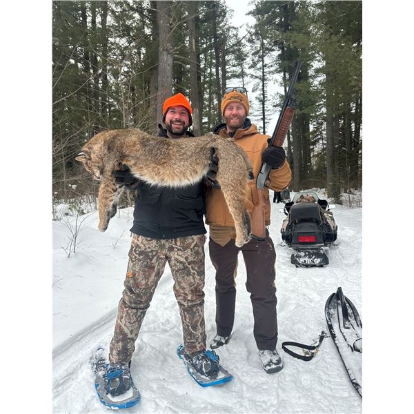 3 Day Michigan Bobcat Hound Hunt by Blue