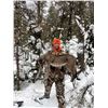 Image 2 : 3 Day Michigan Bobcat Hound Hunt by Blue