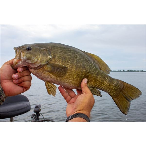 Michigan Small Mouth Fishing Trip   Medicine Man