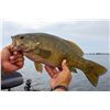 Image 1 : Michigan Small Mouth Fishing Trip   Medicine Man