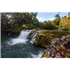 Image 1 : BELIZE JUNGLE ADVENTURE  Safari Unlimited