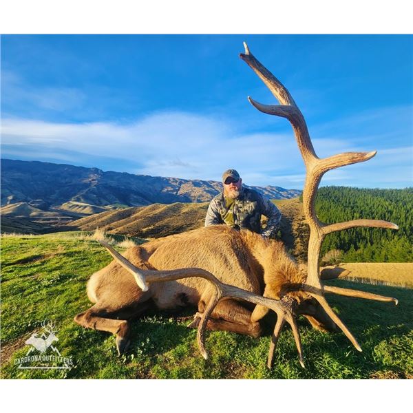 New Zealand 5-Day Red Stag  up to 320 SCI Hunt for 1 Hunter   Cardrona Outfitters