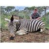 Image 1 : South Africa Plains Game Hunt for 2 Hunters and 2 Observers   De Wet Hunting Safaris