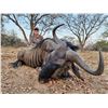 Image 2 : South Africa Plains Game Hunt for 2 Hunters and 2 Observers   De Wet Hunting Safaris