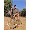 Image 3 : South Africa Plains Game Hunt for 2 Hunters and 2 Observers   De Wet Hunting Safaris