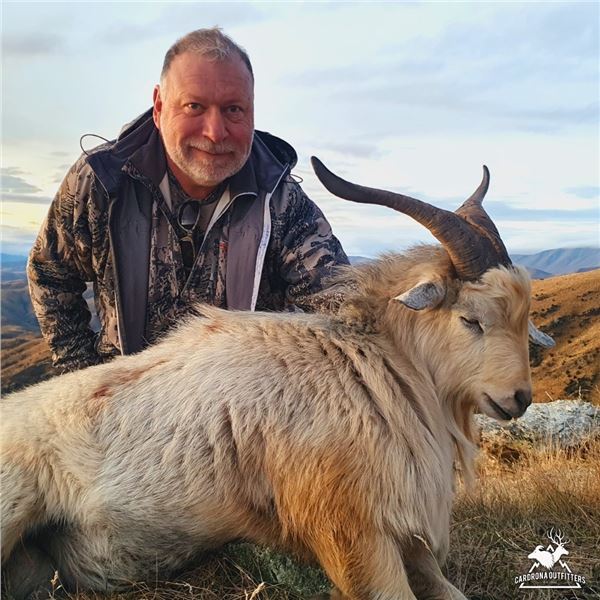 New Zealand 5 Day Alpine Goat Hunt  Cardrona Outfitters
