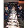 Image 1 : Night Detroit River Walleye Fishing Trip        Big Easy Charters