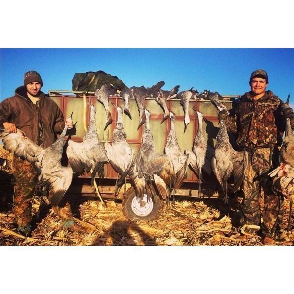 Texas Sandhill Crane Hunt  Safari Unlimited
