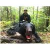 Image 1 : 3 Day Michigan Upper Peninsula Black Bear/Hound Hunt by Blue Plague Guide Service